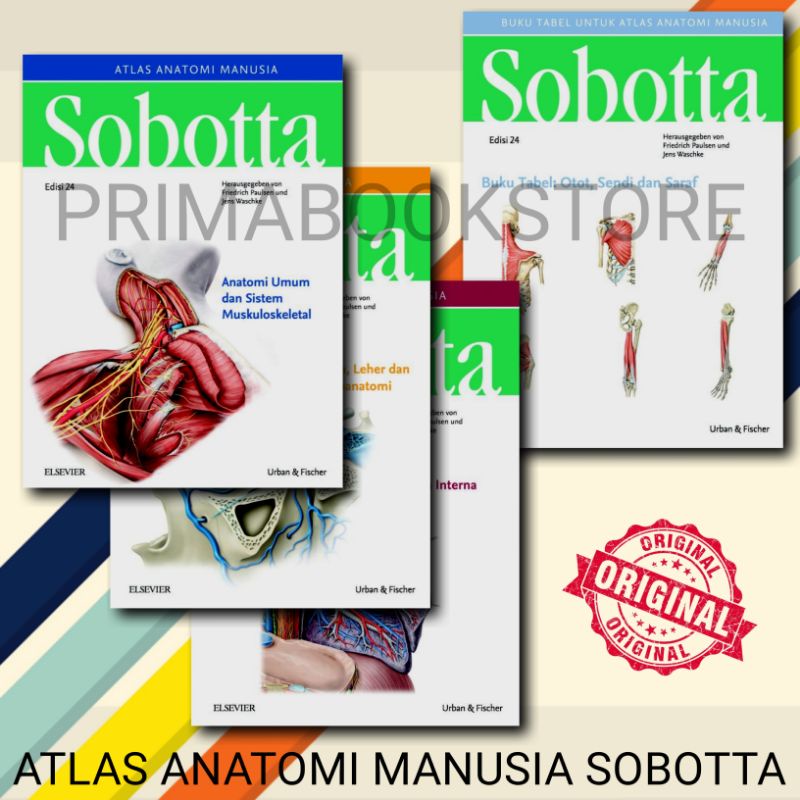 Jual [ORIGINAL] Atlas Anatomi Manusia Sobotta Edisi 24 (4 Buku ...