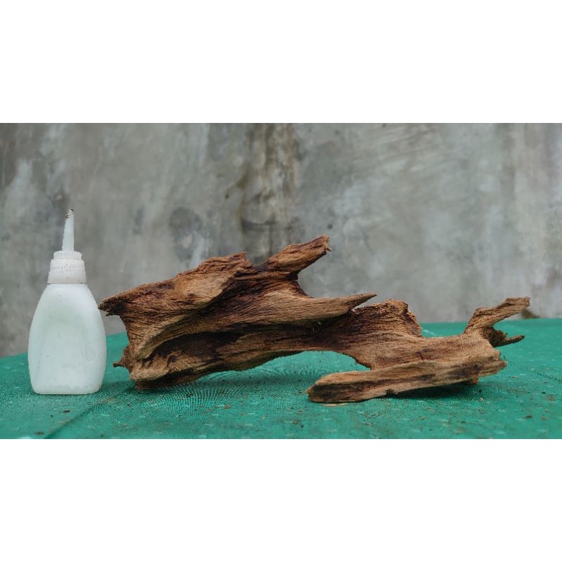 Jual KAYU RENTEK/DRIFTWOOD Ukuran Kecil [SUDAH TENGGELAM] | Shopee ...