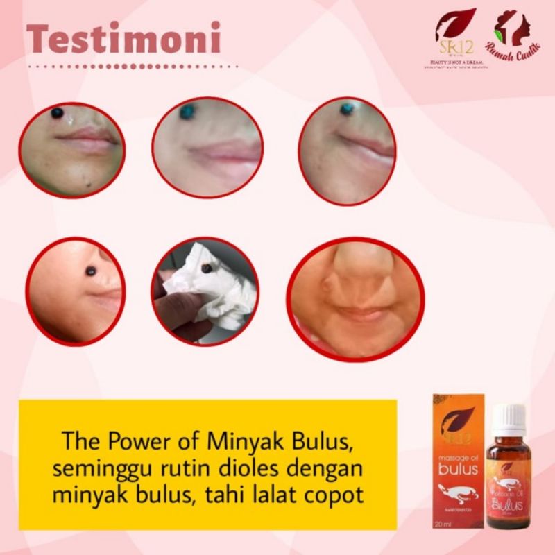Jual MASSAGE OIL BULUS SR 12 MINYAK BULUS ORI BPOM SR12 MINYAK BULUS ...
