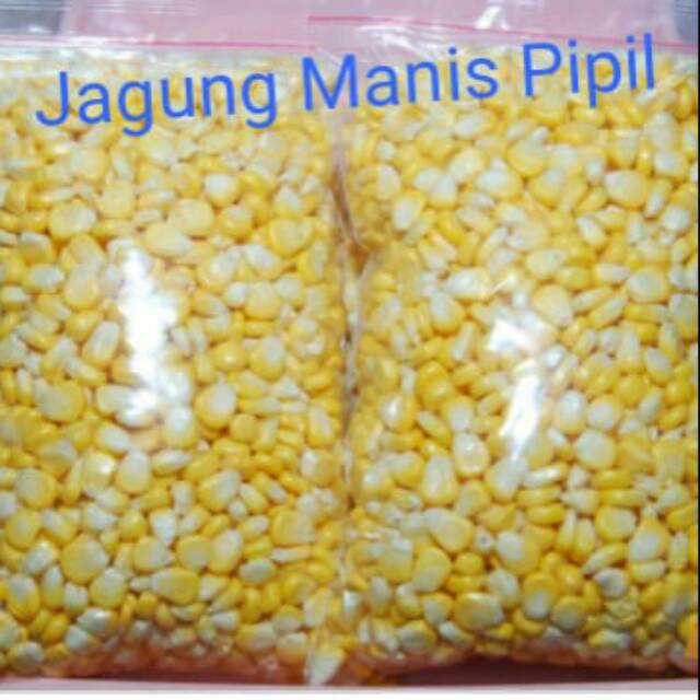 Jual Jagung Manis Pipil 1 Kg Shopee Indonesia 9148