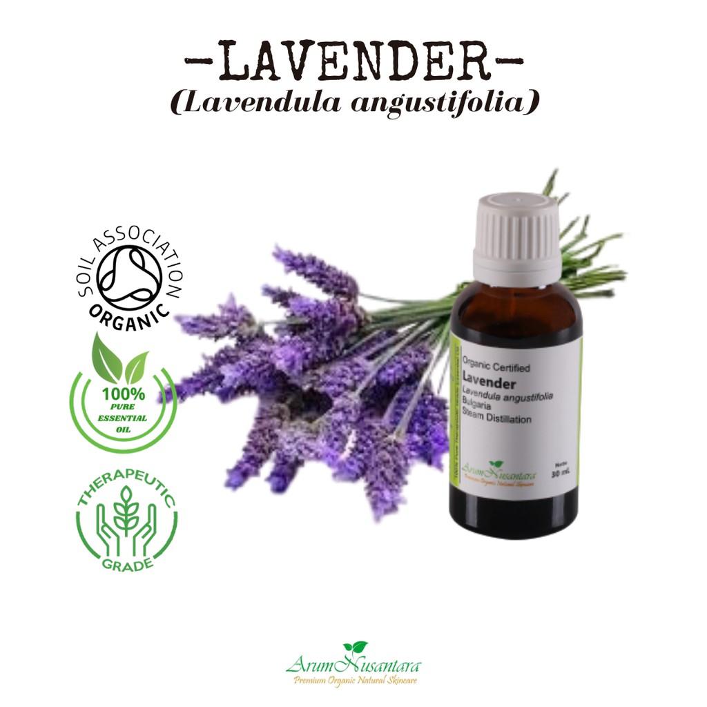 Jual Lavender Essential Oil | Shopee Indonesia