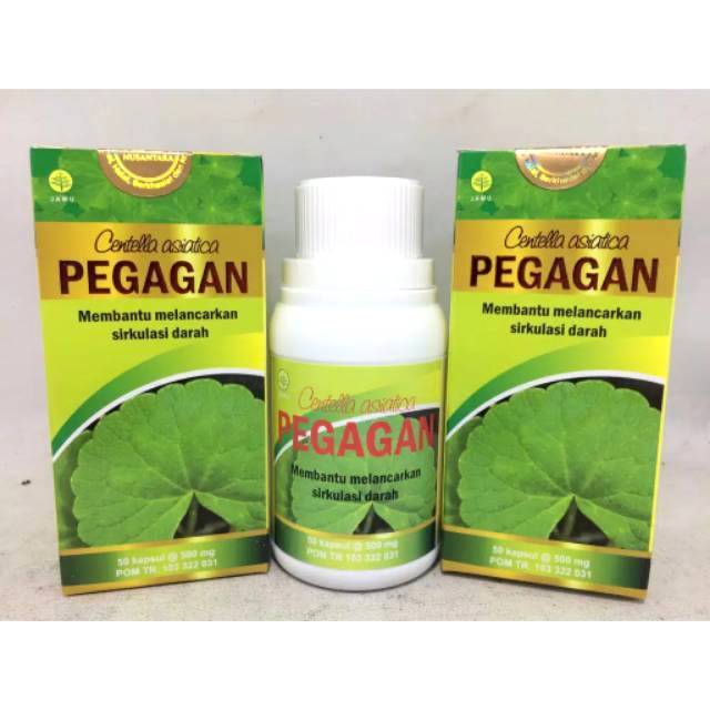 Jual Kapsul Pegagan Nutrisi Otak Dan Sirkulasi Darah Shopee Indonesia 3230