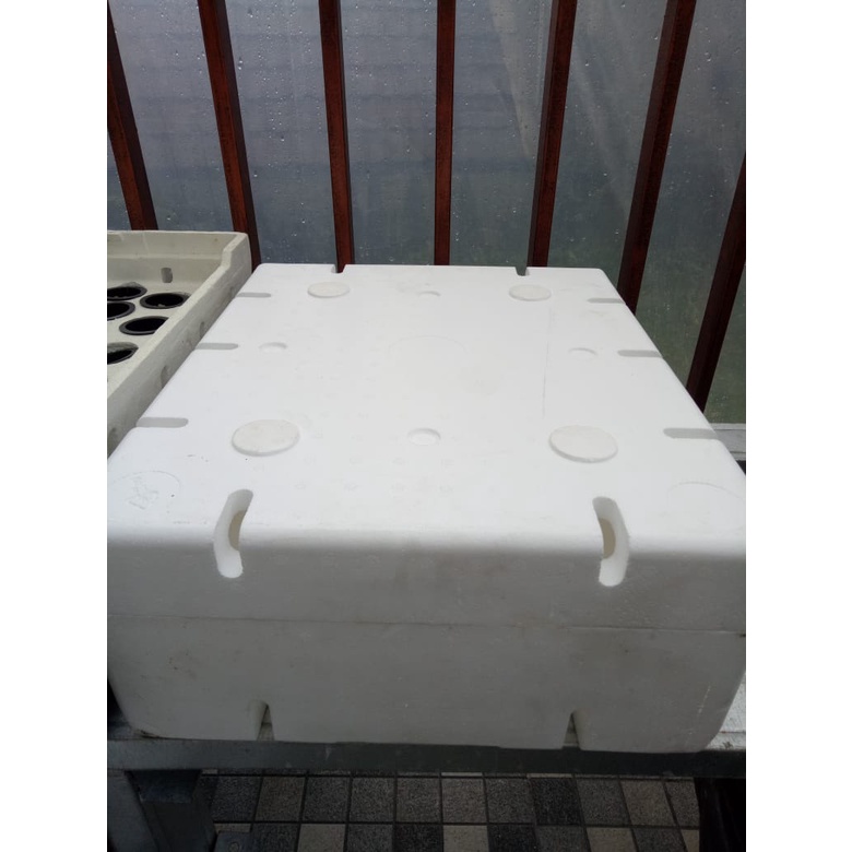 Jual Sterofoam Box Anggur Media Tanam Hidroponik Tanpa Alas Shopee
