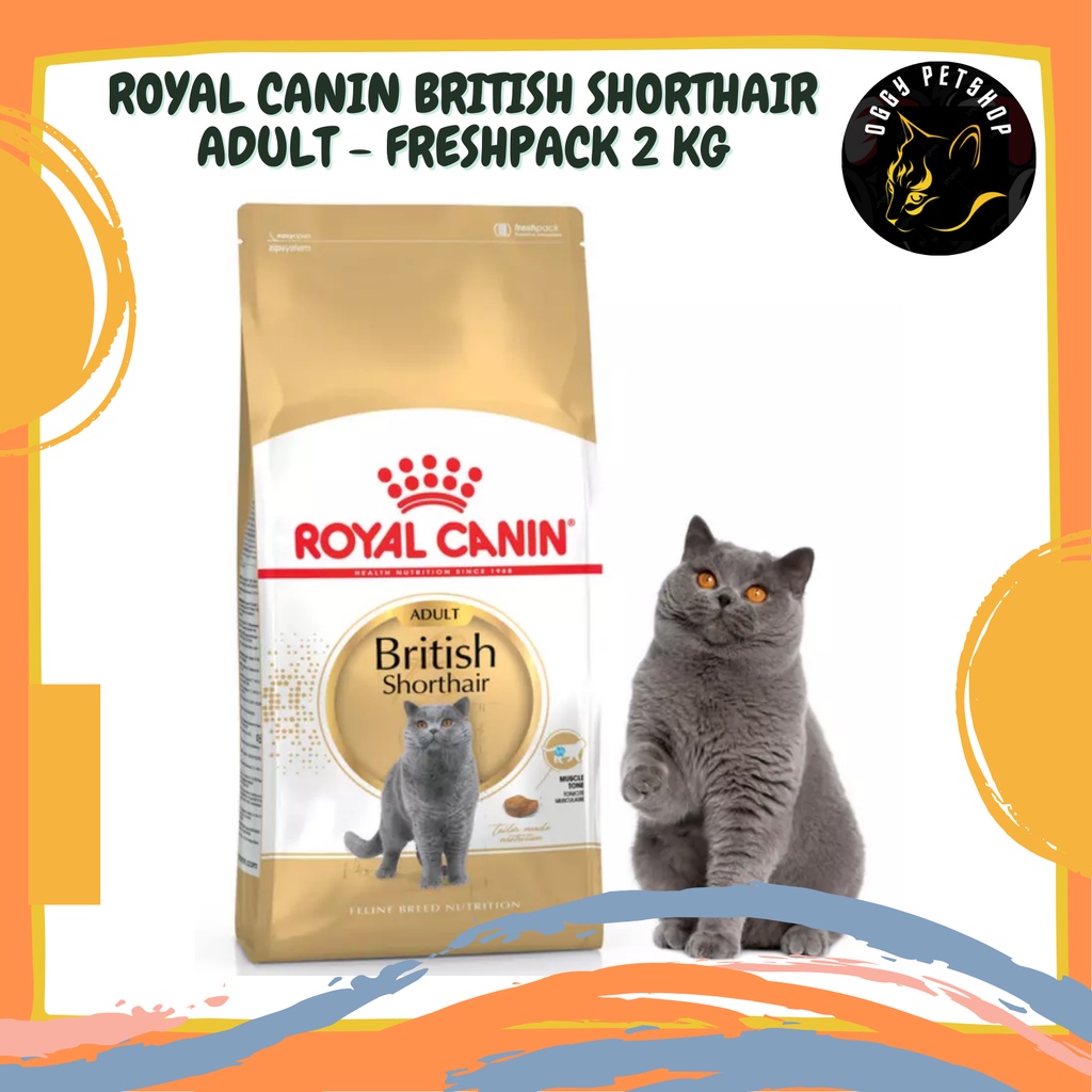 Royal canin outlet british shorthair 2kg