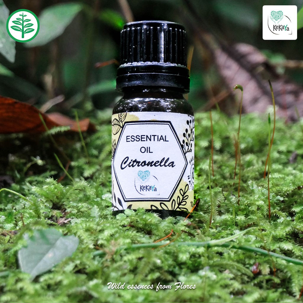 Jual Kekaya - Minyak Atsiri Sereh Wangi Murni Herbal, Essential Oil ...