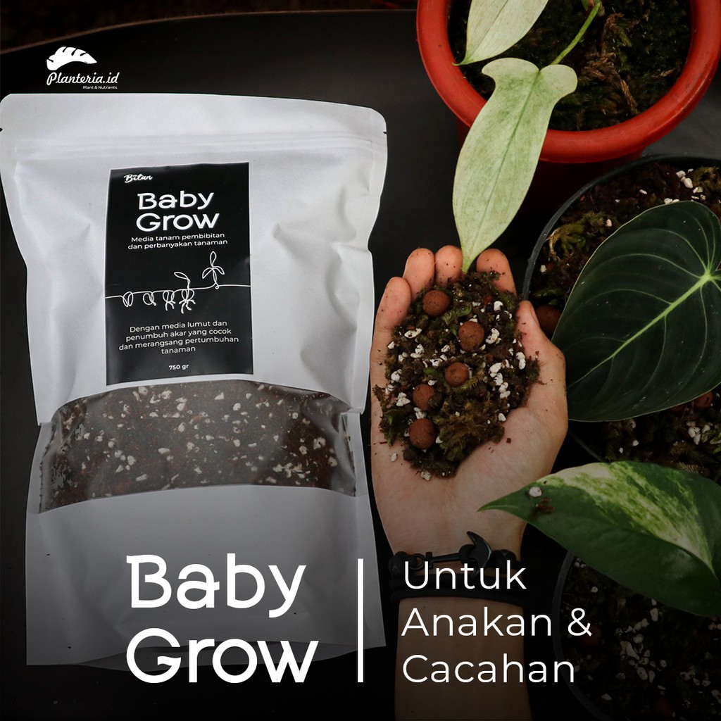 Lumut Hidup Mix Media Tanam Perlite BABY GROW 750 gram