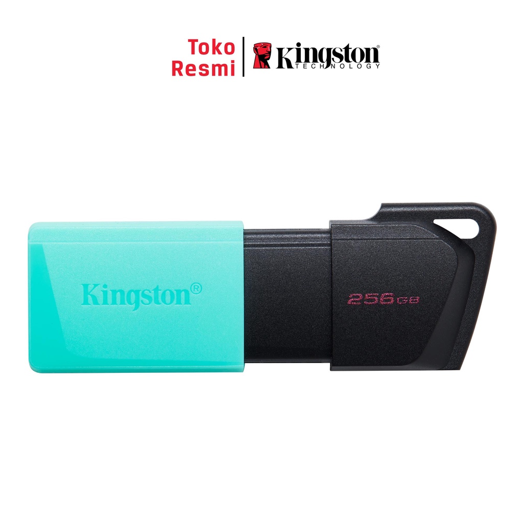 Kingston USB 3.2 DataTraveler Exodia M 256GB (DTXM/256GB)