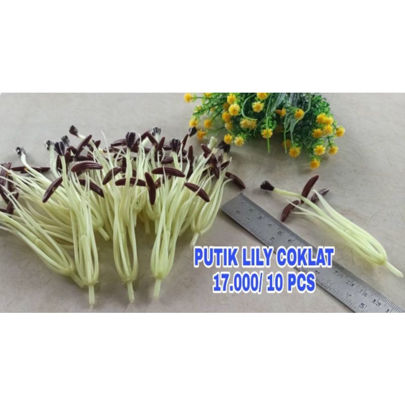 Jual Putik Lily variasi Coklat Putik Lily Coklat | Shopee Indonesia