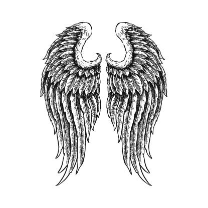Jual POTATOO B GABRIELLE WINGS Temporary Tatto Sticker | Shopee Indonesia