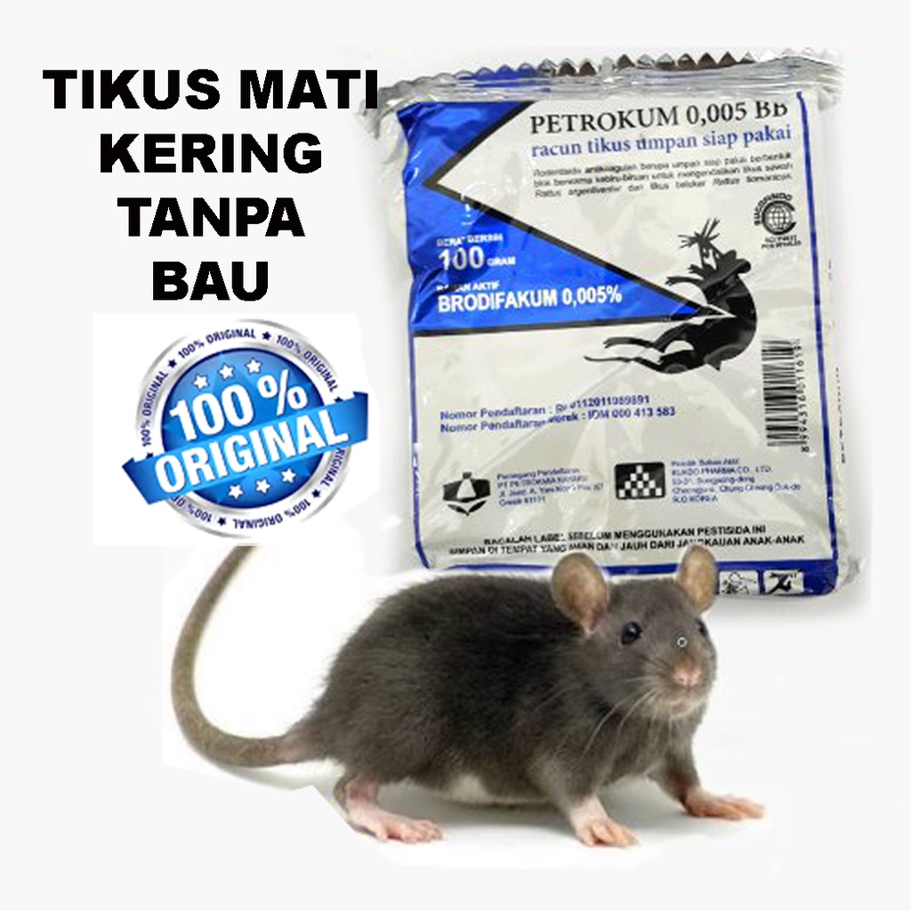 Jual Racun Obat Tikus Petrokum Racun Tikus Mati Kering Petrokum