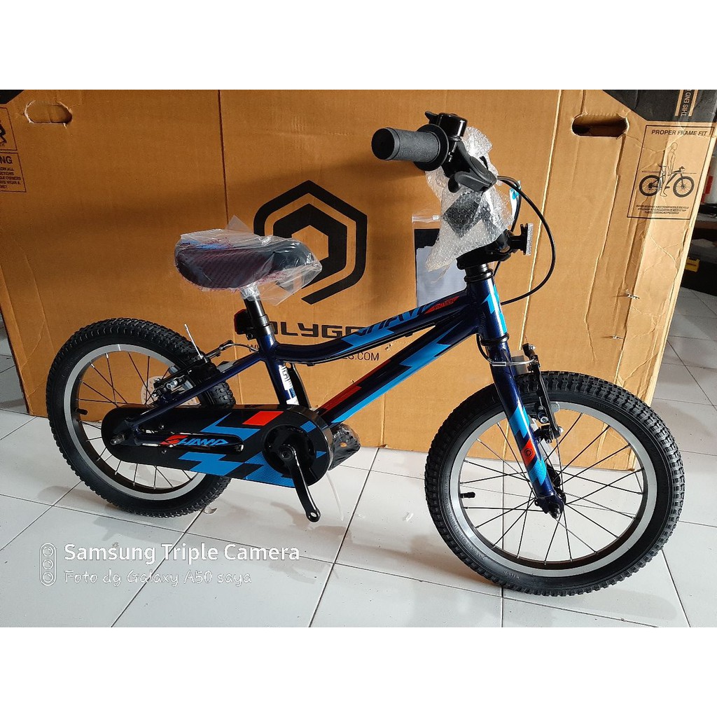 Jual Sepeda Anak / KIDS BIKE BMX 16 INCH POLYGON CHAMP | Shopee Indonesia