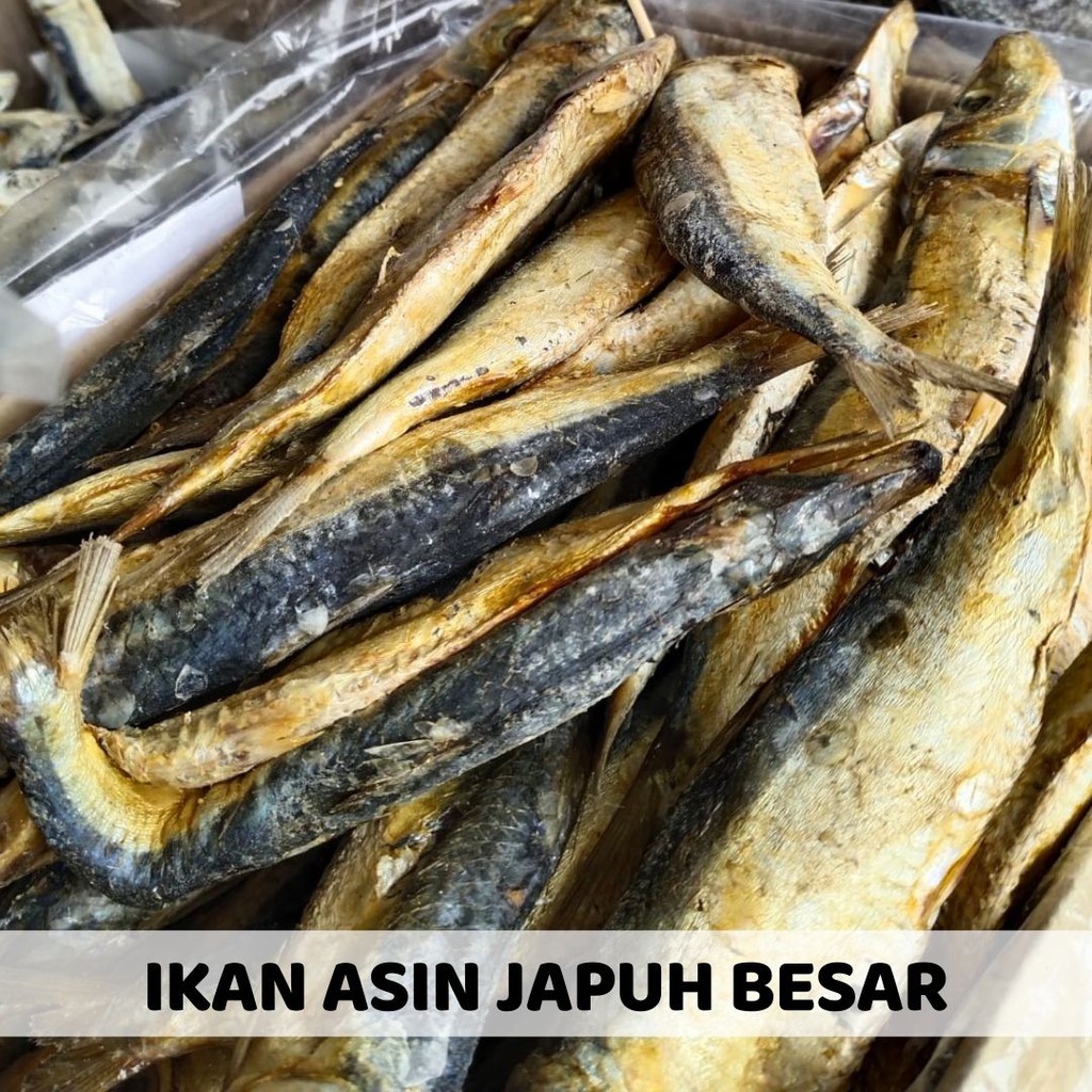Jual Ikan Asin 250 gram Betok Bloso Cucut Gabus Jamrong Japuh Kapasan ...