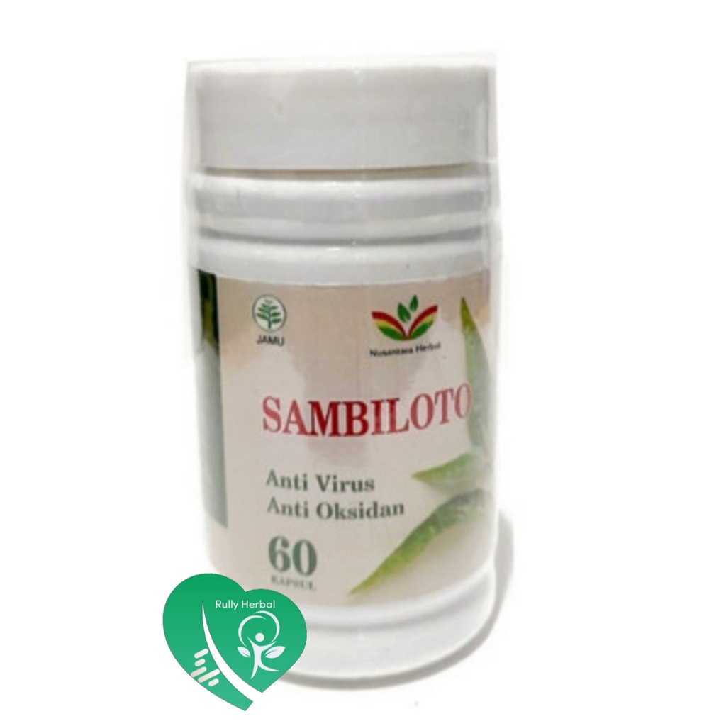 Jual Sambiloto Kapsul Herbal Isi 60 Kapsul Original Nusantara Herbal ...