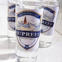 Jual Ikan Cupang