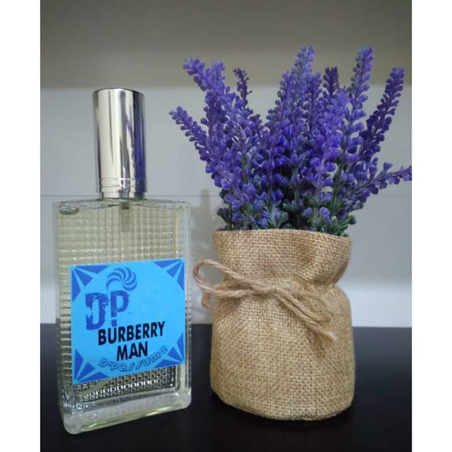 Jual Burberry Men 100ml | Shopee Indonesia