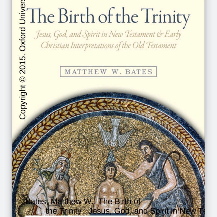 Jual The Birth of the Trinity - Matthew W (SC) | Shopee Indonesia