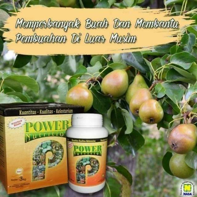 Jual Power Nutrition Pupuk Khusus Buah Kemasan Kg Shopee Indonesia