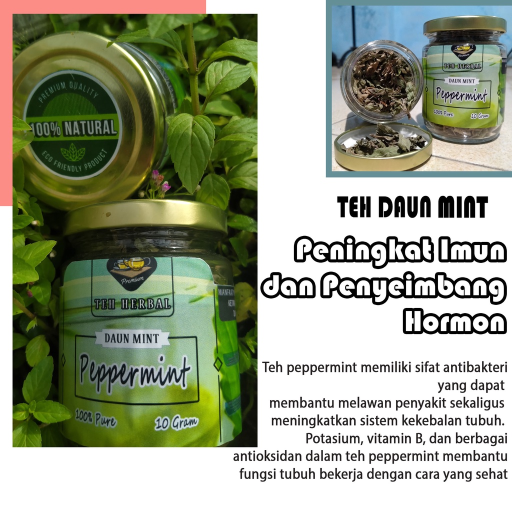 Jual TEH HERBAL DAUN MINT KERING PURE PEPPERMINT TEA | Shopee Indonesia