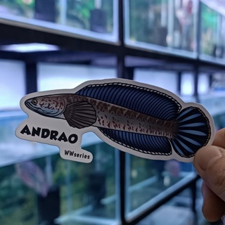 Jual Stiker Original Bang Fish - Channa Homestay - El Barca - Auranti -  Kab. Pringsewu - Skj - Aquatic