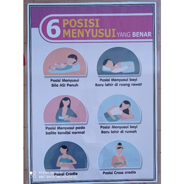 Jual (226) POSTER 6 POSISI MENYUSUI YANG BENAR | Shopee Indonesia