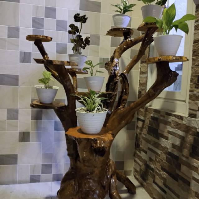 Jual Rak Tanaman atau Tatakan Pot dari Akar Pohon tinggi 1 Meter lebar ...
