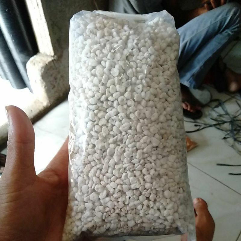 Jual media PERLITE 100 gram tanaman hias | Shopee Indonesia