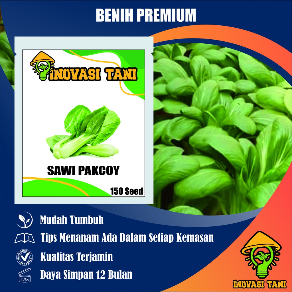 Jual Benih Sawi Pakcoy Bibit Benih Bibit Biji Super Sayur Sawi Pokcoy