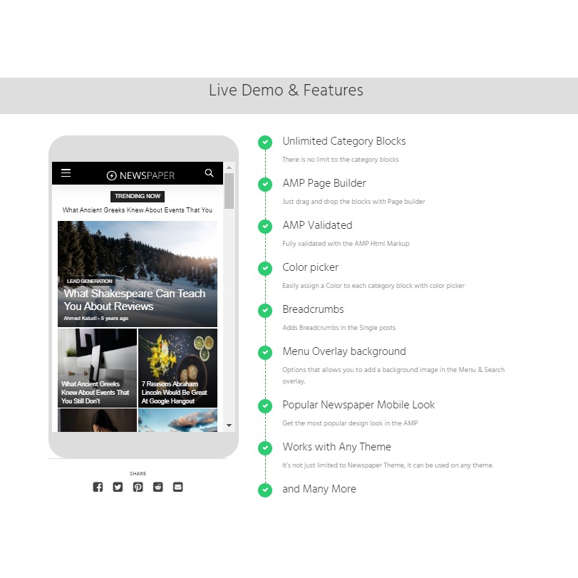 Jual Theme Newspaper Built For AMP Versi 2.0.18 (AMP for WP) | Shopee ...