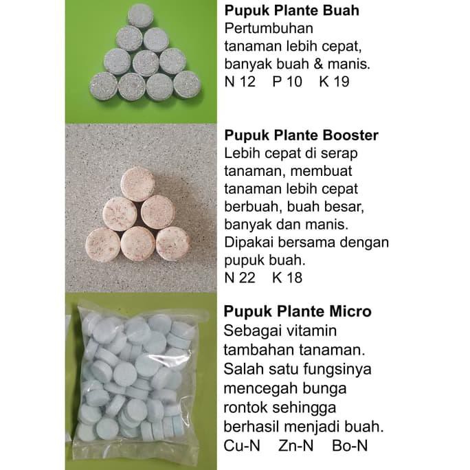 Jual PUPUK TANAMAN BUNGA & BUAH NPK TABLET FUNGSI HARA LENGKAP | Shopee ...