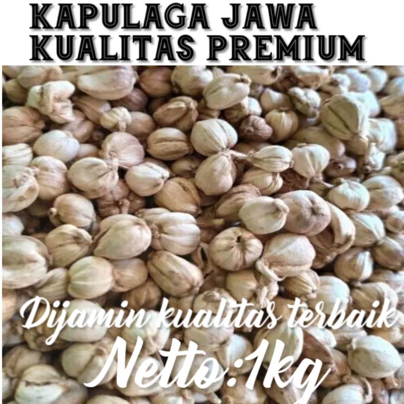 Jual Kapulaga Kapolaga Kapol Jawa 1kg Shopee Indonesia 3404