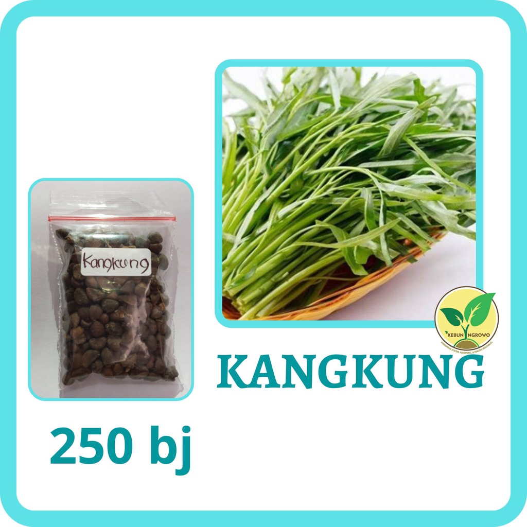 Jual Benih Kangkung Sayuran Hidroponik Hijau Unggul 250 Biji Kemasan