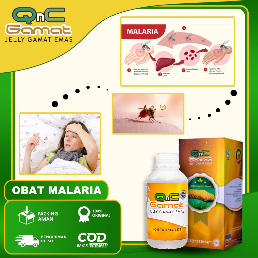 Jual Obat Malaria - Chikungunya | Shopee Indonesia