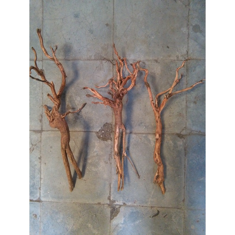 Jual Jual Rasamala ukuran S Limited | Shopee Indonesia