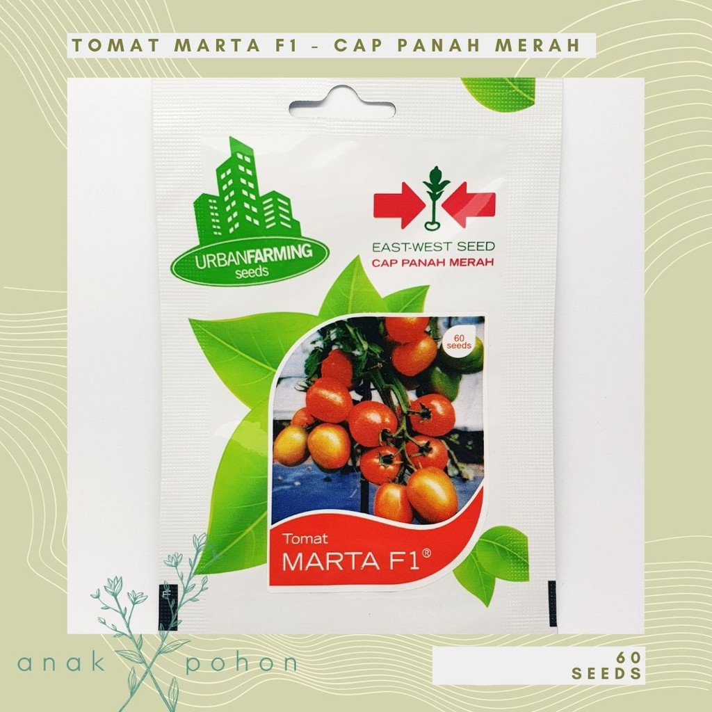 Jual ( 1 PACK ) Benih Bibit Biji - Tomat Marta F1 Seeds - Cap Panah ...