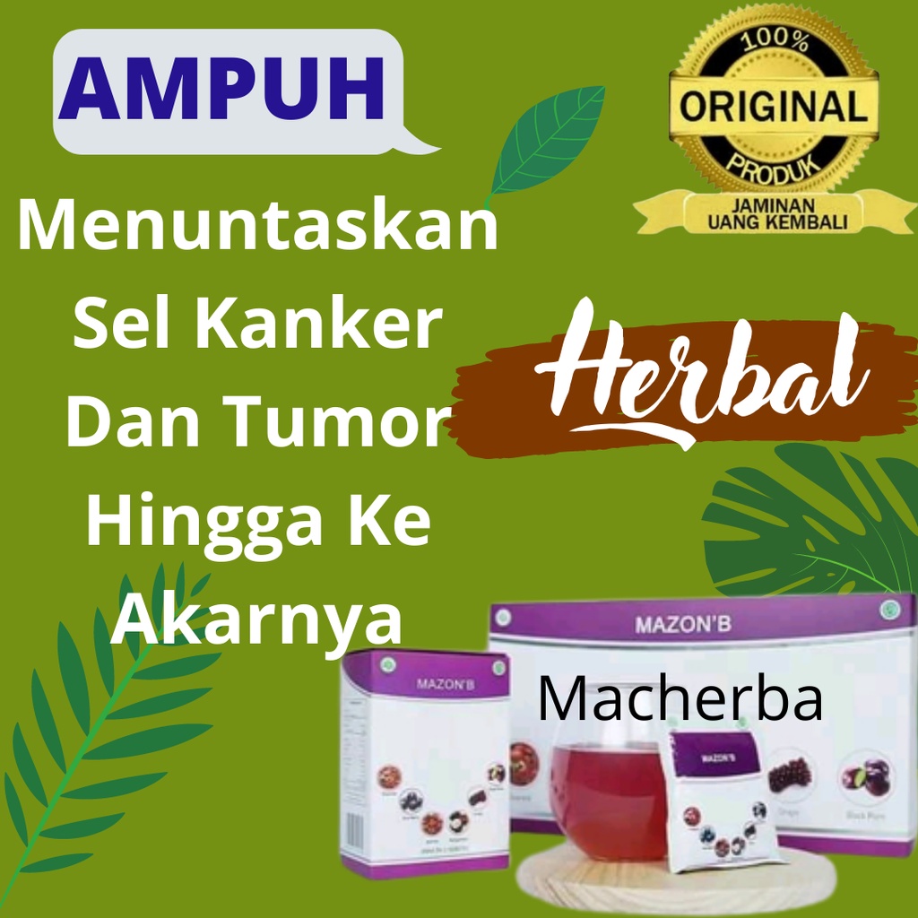 Jual Paket Mazon B + K Muricata 1Bulan Full Obat Herbal Meningkatkan ...