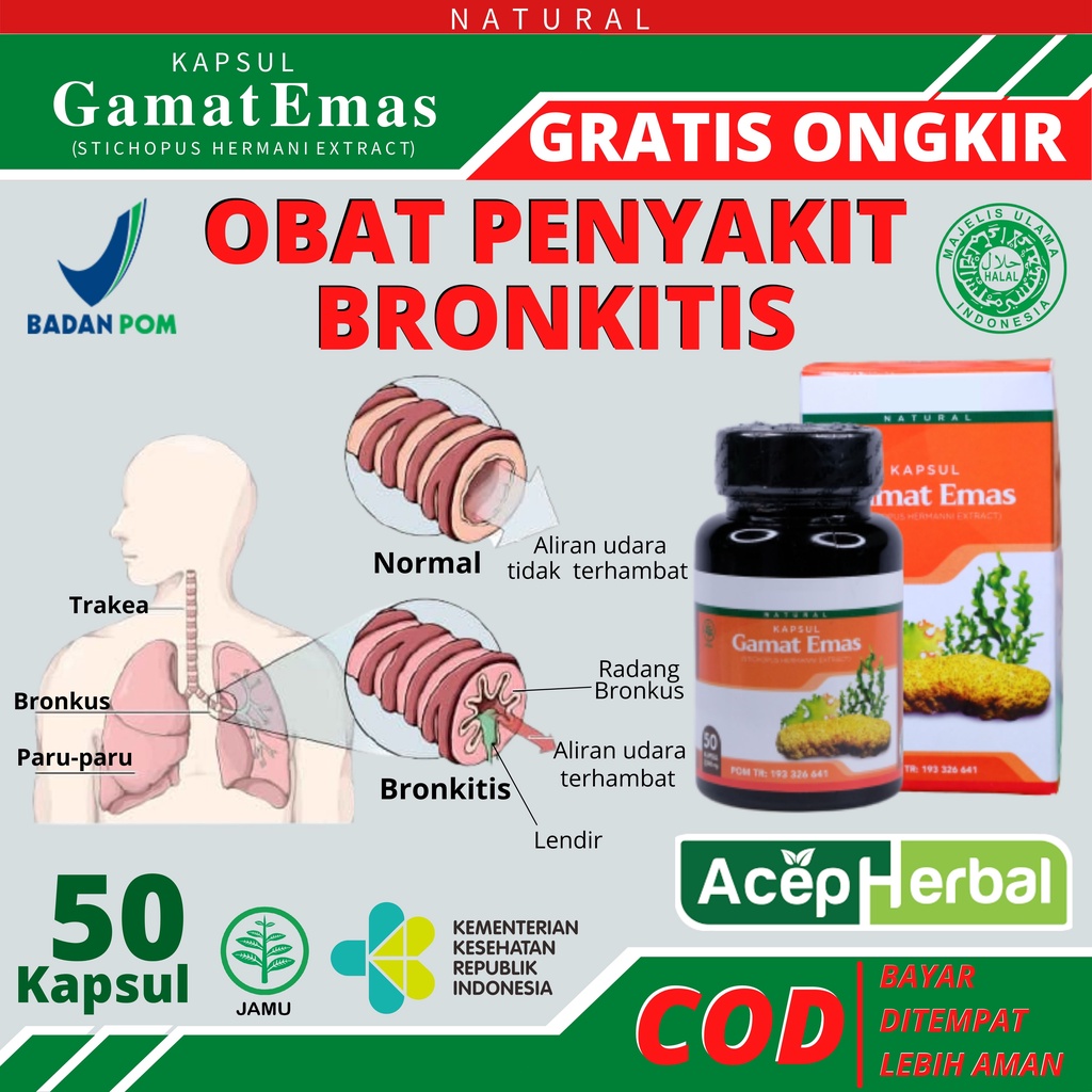 Jual Obat Herbal Bronkitis Kronis Akut Anak Dan Dewasa Asma Pneumonia ...