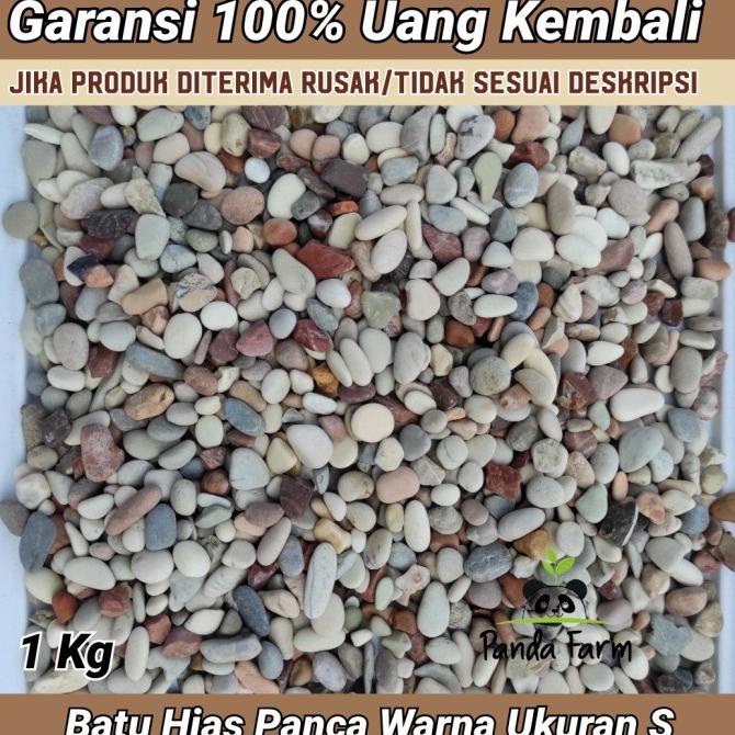 Jual Batu Alam Koral Tabur Kerikil Hias Panca Warna Ukuran S Kg Shopee Indonesia