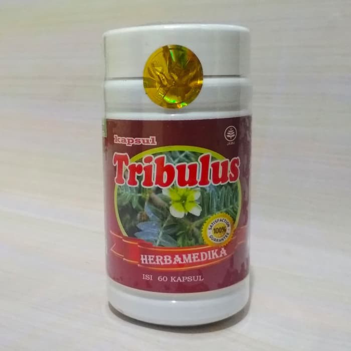 Jual Kapsul Tribulus Herbamedika Kapsul Herba Medika Kps Shopee