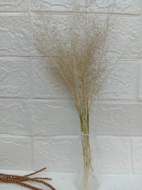 Jual Bunga kering/rumput lembut (ikat) | Shopee Indonesia