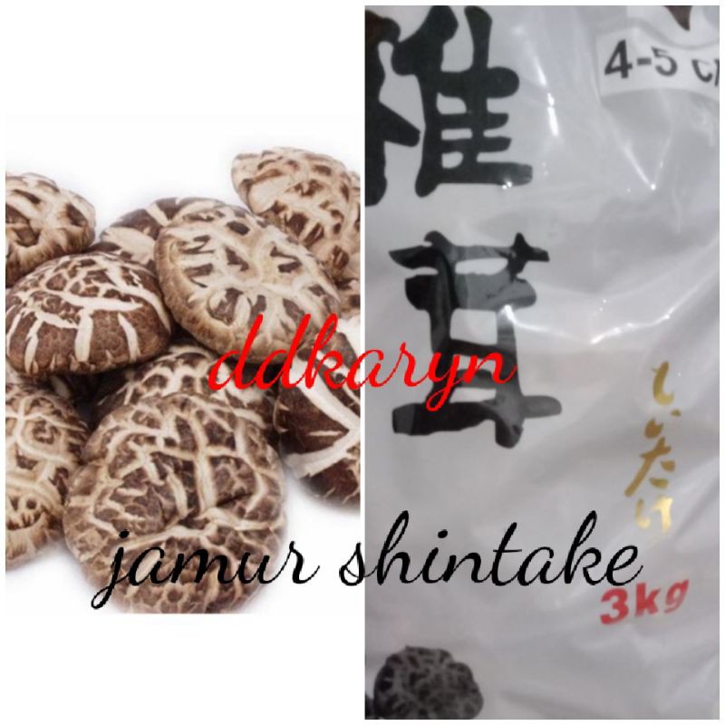 Jual Jamur Shintake/hioko/hyoko/sintake 1kg | Shopee Indonesia