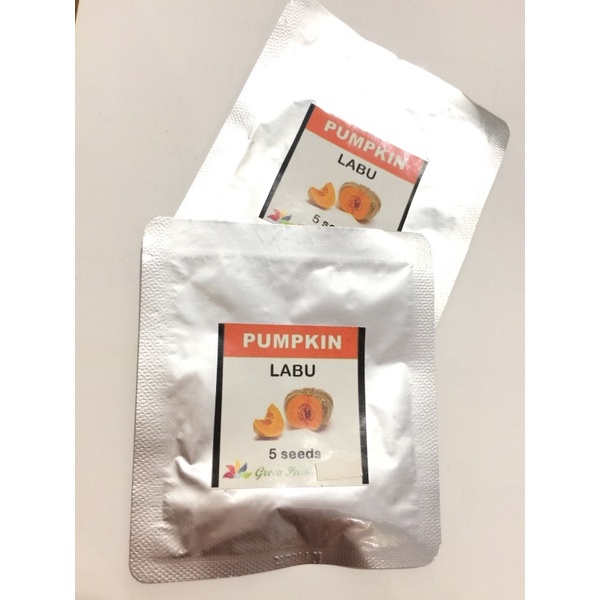 Jual Benih Biji Labu Kuning - Labu Parang Pack - GP | Shopee Indonesia