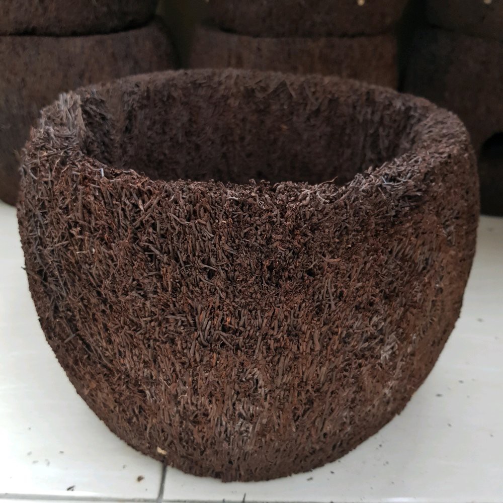 Jual Jual pot pakis 20cm media tanam anggrek terbaik | Shopee Indonesia