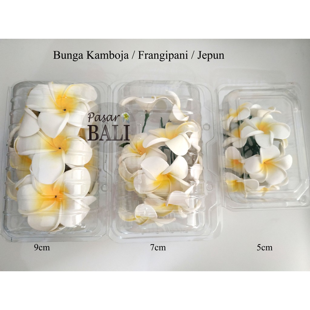 Jual Bunga Kamboja Frangipani Jepun Dengan Tangkai Isi Shopee