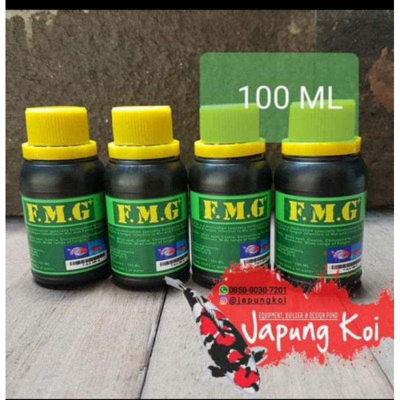 Fmg koi best sale