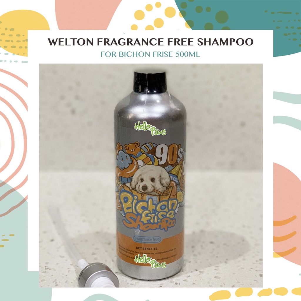 Bichon Frise(A breed of dog originating from the Mediterranean region ...