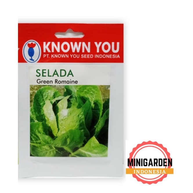 Jual Selada Green Romaine 5 Gram Pack Kecil Biji Benih Selada Hijau