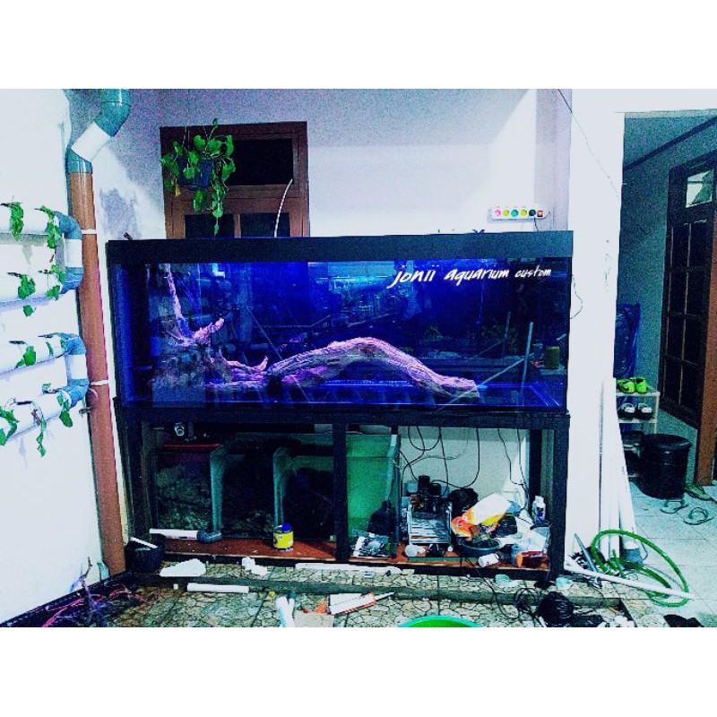 Aquarium jumbo on sale