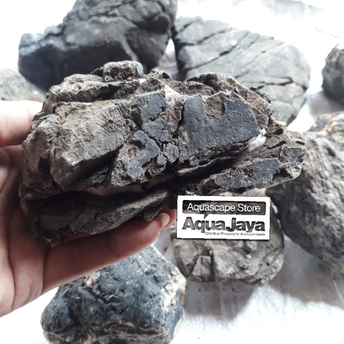 Jual Turly Stone Batu Turli Ori batu hias hardscape aquarium aquascape ...