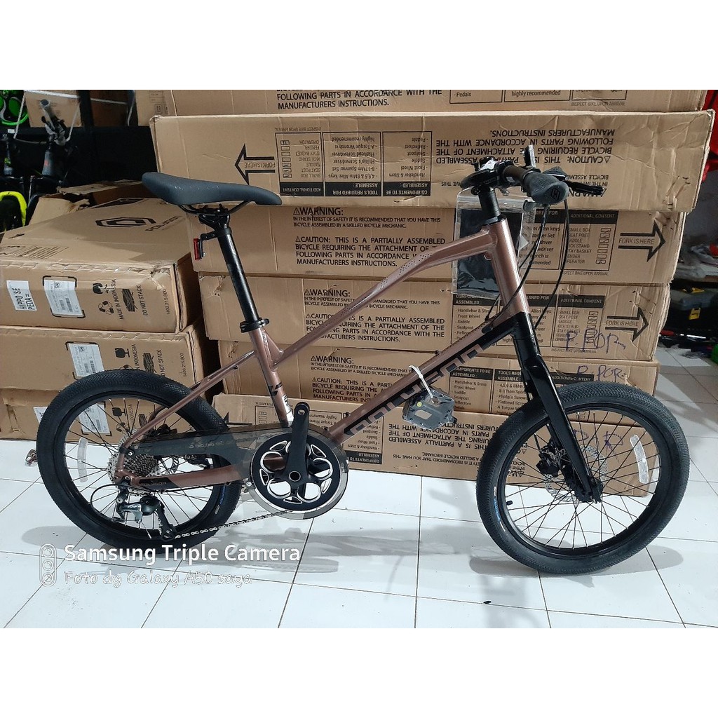 specialized atlas xc pro