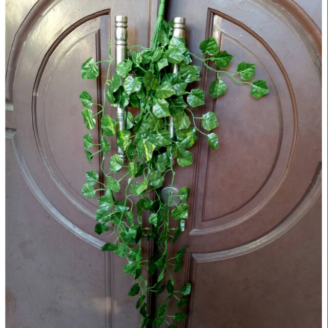 Jual Daun rumbai daun juntai group 9batang /helai | Shopee Indonesia